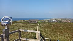 Sylt (22)